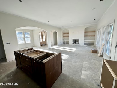 3162 Autumn Wind Dr, Hernando, MS 38632 - photo 2