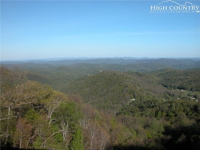 111 Acres - Blowing Rock Blvd, Blowing Rock, NC 28645 - photo 3