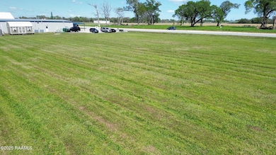 dji_fly_20250324_143702_886_174284519399