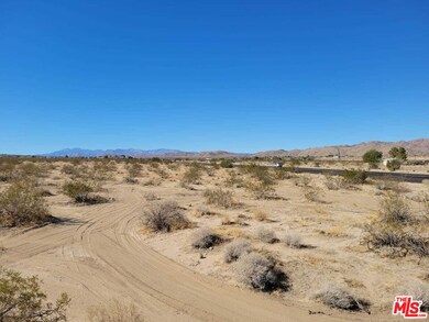 62745 Twentynine Palms Hwy, Joshua Tree, CA - photo 4