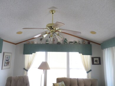 CEILING FAN IN LIVING AREA
