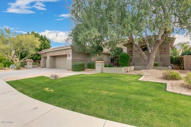 BEAUTIFUL FRONT YARD
