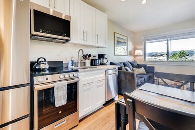 3295 Apres Ski Way unit B10, Steamboat Springs, CO 80487 - photo 7