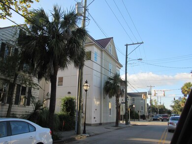 st philip fern 030