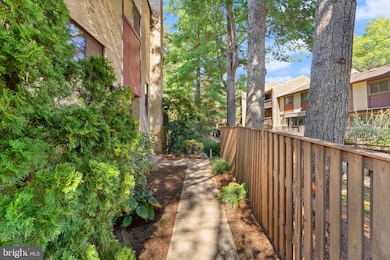 4700 Deer Run Ct, Alexandria, VA 22306 - photo 3