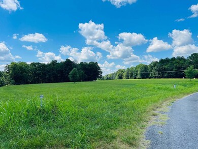 520 Dockery Rd, Russell Springs, KY 42642 - photo 4