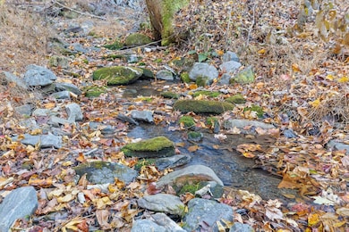 180 Cohutta Forest Rd, Ellijay, GA 30540 - photo 3