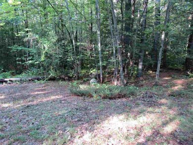 00 Poor Farm Ct unit 5, Wolfeboro, NH 03894 - photo 3