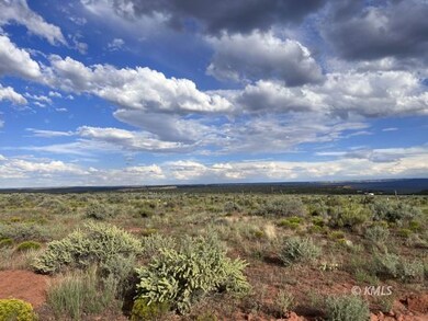 Lot 8 Rowel, Kanab, UT 84741 - photo 5