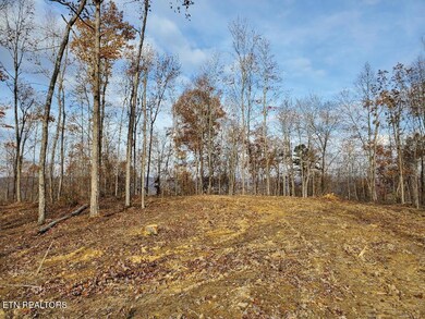 0 Bull Creek Lot K Rd, Huntsville, TN 37756 - photo 5