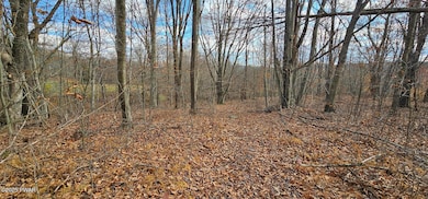 77 Delaware Dr, Damascus Township, PA 18415 - photo 6