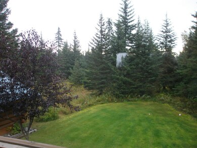 Cabin Exterior Back Yard