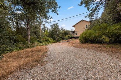 Side Yard