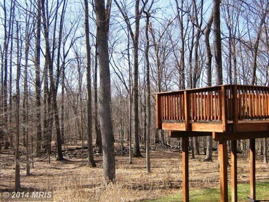 11825 Silent Valley Ln, North Potomac, MD 20878 - photo 6