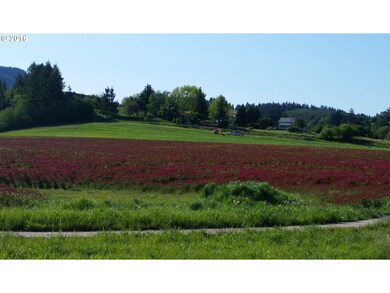 0 SW Nelson Dr unit 5 15691743, Gaston, OR 97119 - photo 4