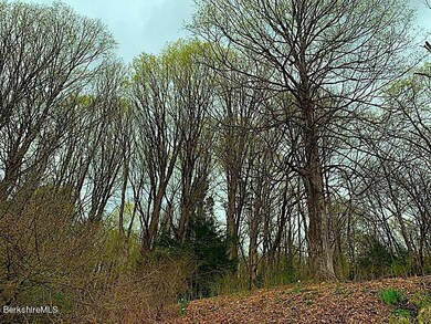 IMG_7266