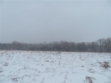 11686 North Rd, Freedom, NY 14065 - photo 3