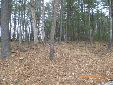 10 Davis Rd, Holland, MA 01521 - photo 4