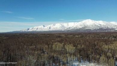 dji_fly_20240227_130734_115_170907212871