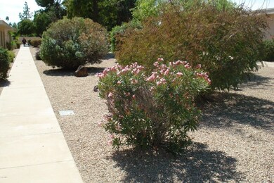 Courtyard 3