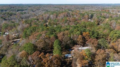 0 Jerry Dr unit 21437056, McCalla, AL 35111 - photo 6