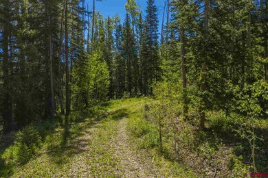 492 Red Mountain Ranch Upper Loop, Crested Butte, CO 81224 - photo 3