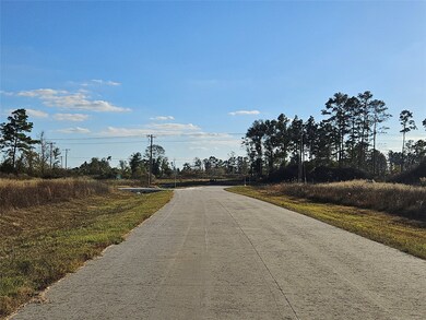 8030 Road 5891, Cleveland, TX 77327 - photo 5