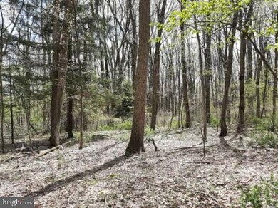 0 Hillcrest Rd, Washington Township, PA 19504 - photo 3