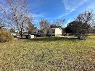 308 Michelle St, Eutawville, SC 29048 - photo 6