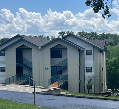 2700 Green Mountain Dr unit 4, Branson, MO 65616 - photo 2