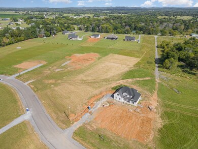 Shelbyville offers many great restaurants and shopping options including a Kroger, Walmart & Lowes