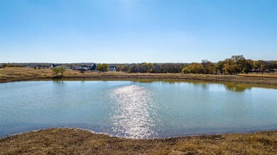 119 Chisum Dr, Millsap, TX 76066 - photo 2