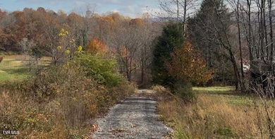 1030 N Paperville Rd, Bristol, TN 37620 - photo 5