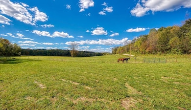 25140 Shurtz Rd, New Plymouth, OH 45654 - photo 3