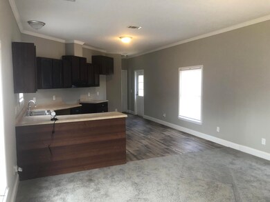 Open Concept Kitchen/Living Rm