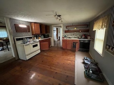 IMG_20250414_121933