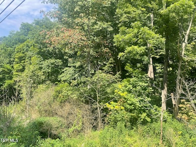 TBD Highway 19E land 2