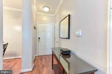 4561 Strutfield Ln unit 3103, Alexandria, VA 22311 - photo 3