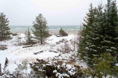 34010 E Side Dr, Beaver Island, MI 49782 - photo 5