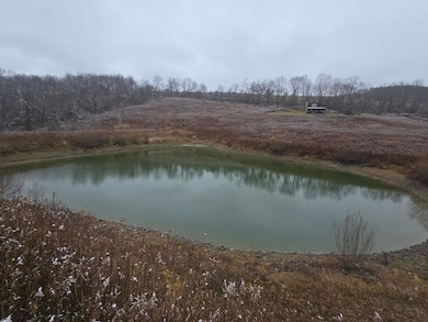 0WP Piety Hill Rd, Cincinnatus, NY 13040 - photo 4