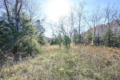 000 Swinging Bridges Rd, Brumley, MO 65017 - photo 6