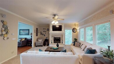 BEAUTIFUL TRIM PACKAGE AND WOOD BLINDS...