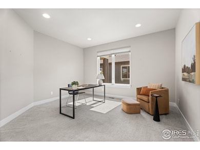 6977 Foxton Ct, Timnath, CO 80547 - photo 5