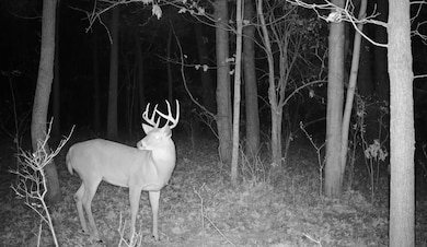 V L 56th Ave, Paw Paw, MI 49079 - photo 6