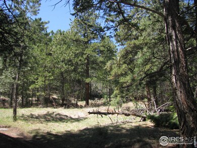 0 Little Whale Rd unit 698616, Bellvue, CO 80512 - photo 5