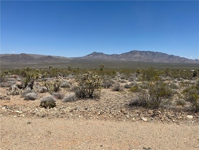 Looking from Boundary Near Center of West Property