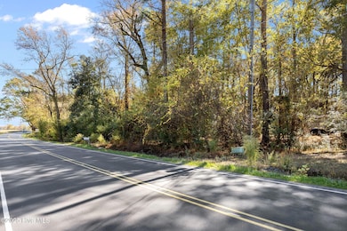 3278 Moye-Turnage Rd, Farmville, NC 27828 - photo 4