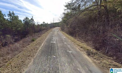 0 Aldridge Rd unit 21405313, Cordova, AL 35550 - photo 6