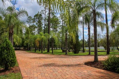 IMG_0013