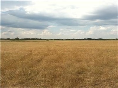 00 I-10w Frontage and Pyka, Sealy, TX 77474 - photo 3